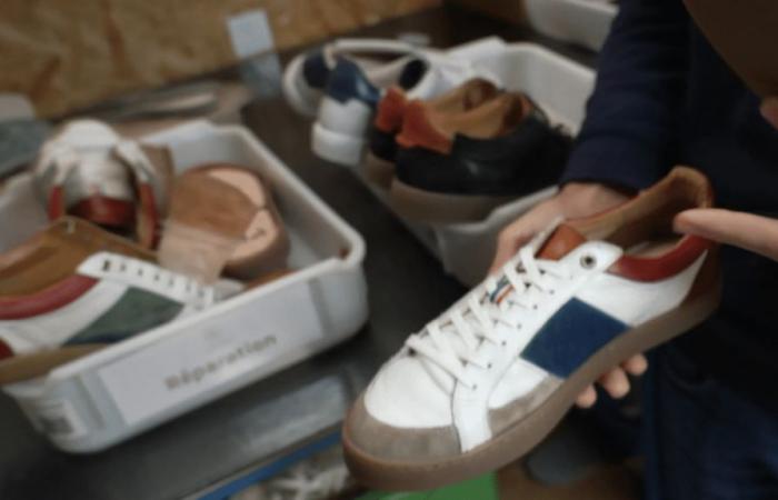 la sneaker tricolore mise sur l’innovation pour se démarquer