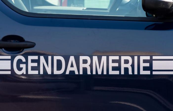 Un enfant de 6 ans grièvement blessé après s’être accroché à la voiture de son père qui voulait l’abandonner dans les bois