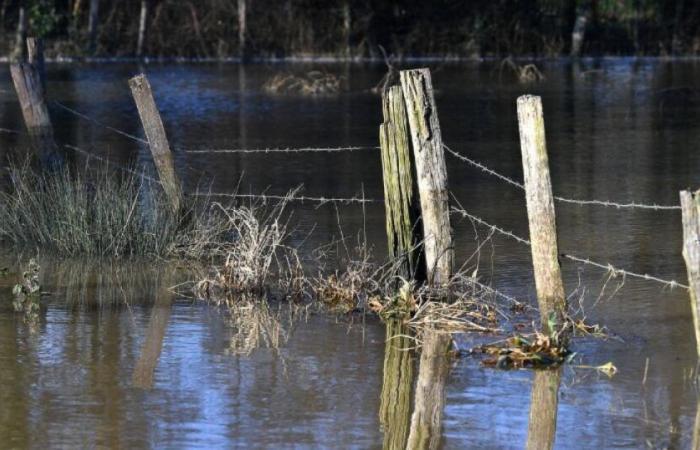 La Haute-Corse placée en alerte orange pluie-inondation : Actualités