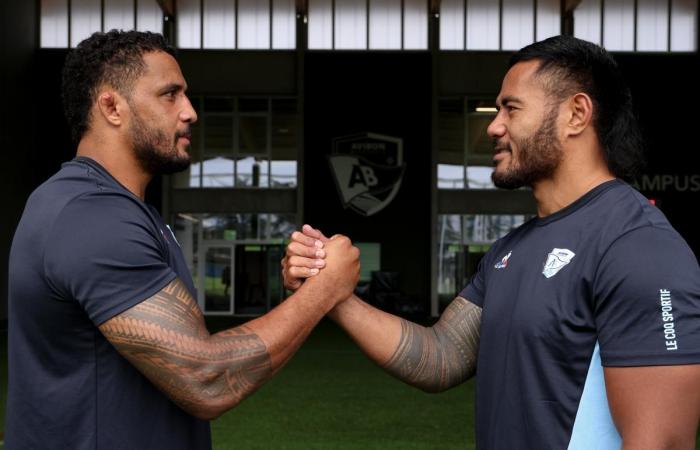 Rugby. Tuilagi et Habel-Küffner, les Samoans de l’Aviron Bayonnais, décryptent leurs tatouages ​​pour « Raffut »