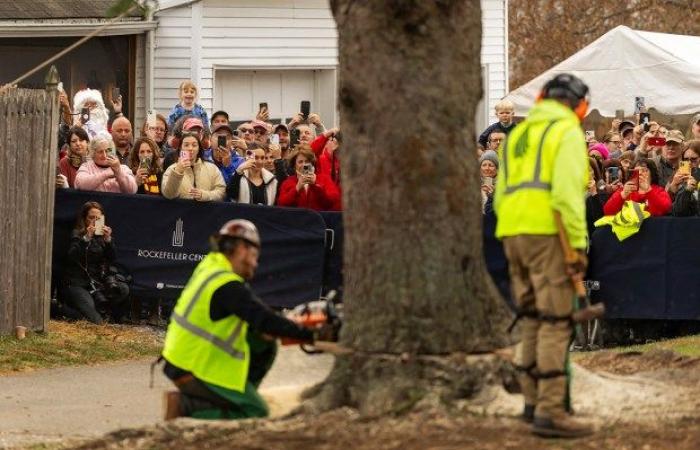 L’épinette de Norvège du Massachusetts arrive à New York comme arbre de Noël du Rockefeller Center