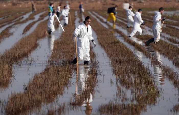 Inondations en Espagne | Les autorités s’inquiètent des risques sanitaires