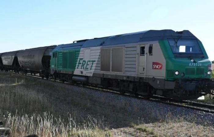 Démantèlement du fret, privatisation… Les raisons de la grève annoncée à la SNCF