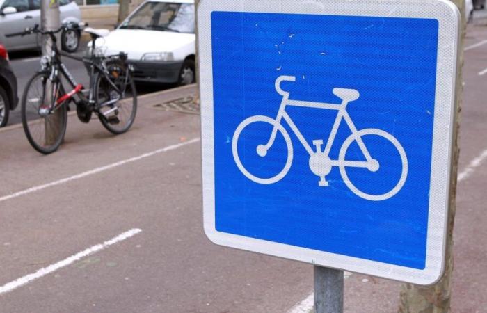 le célèbre « homme en bleu » est mort, un appel à témoins lancé