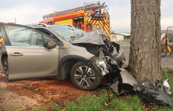 Un homme de 82 ans tué dans un accident de la route