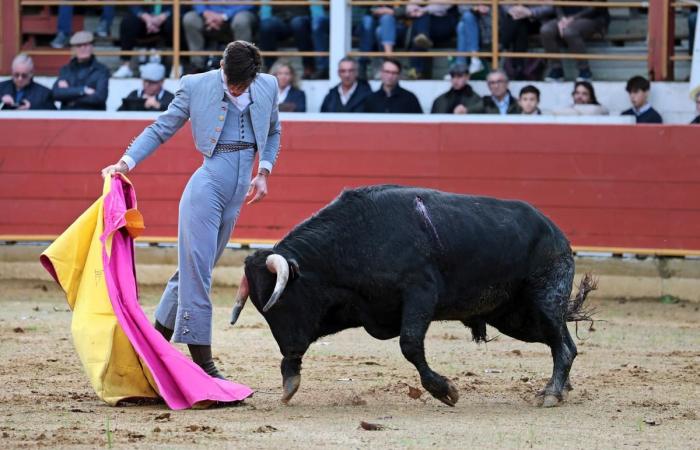 le Festival Country à Achevé pour la saison 2024