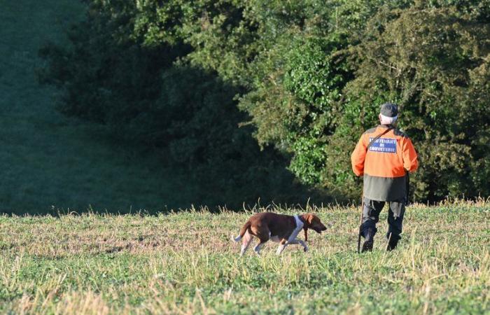 une femme accuse un chasseur d’avoir délibérément tué sa jument à 30 000 euros