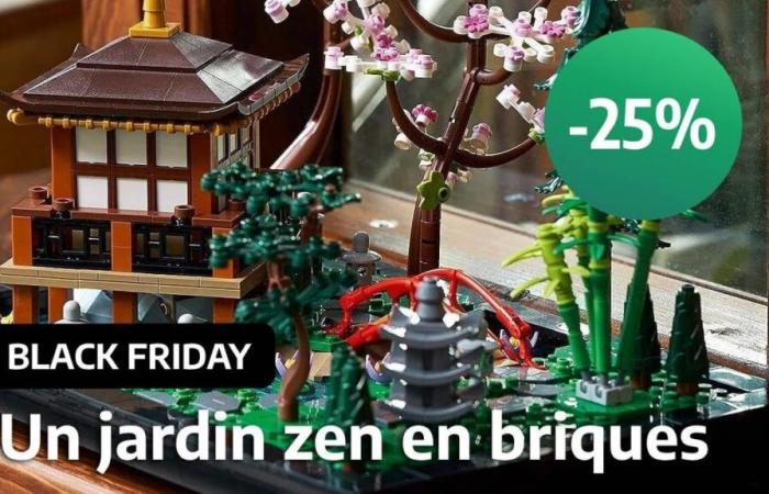 Le Black Friday réduit de 25 % le prix de LEGO The Peaceful Garden, l’un des meilleurs sets pour adultes à offrir à Noël