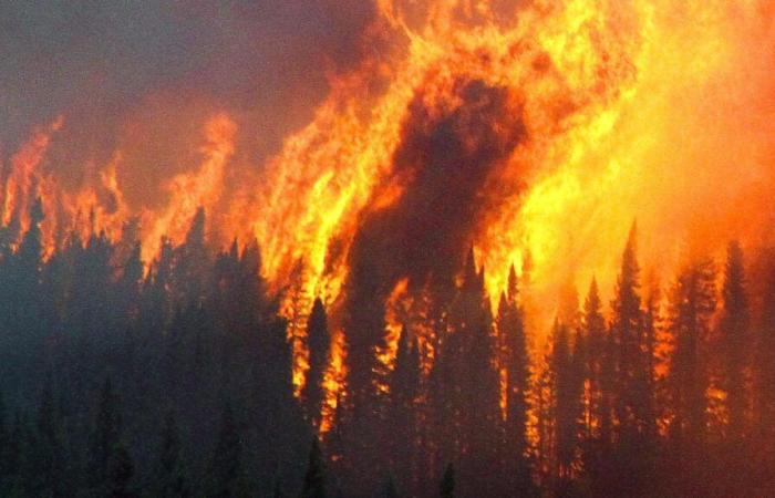 Un employé de 18 ans décède en combattant des incendies de forêt dans des parcs de l’État de New York