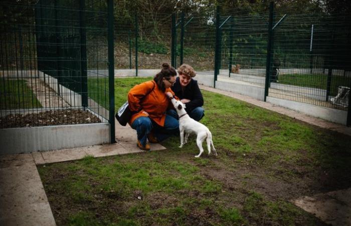 plus grand, plus moderne, plus écologique… un abri nouvelle génération ouvre au public à Gennevilliers