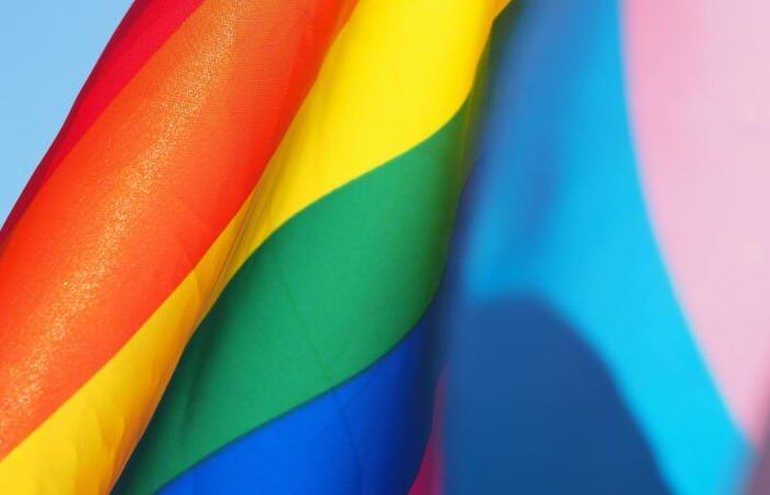 le quotidien des personnes LGBTQ+, qualifiées de communauté extrémiste · Global Voices en français