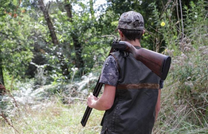 Un cheval de compétition abattu par des chasseurs sur une propriété privée