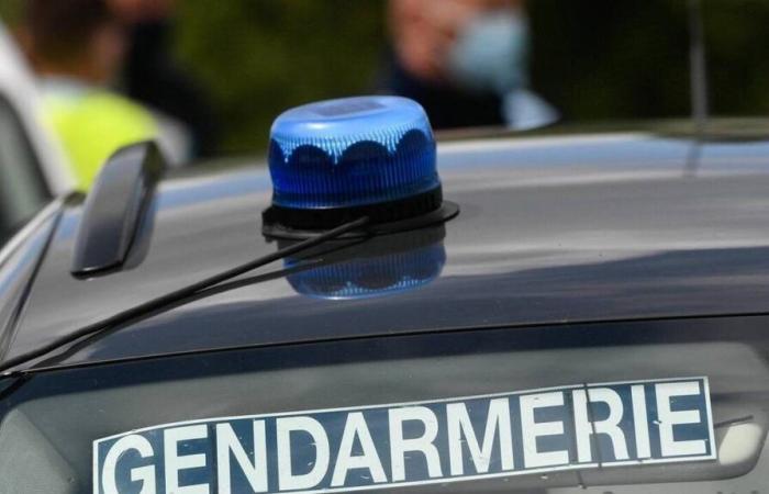 A Lorient, un appel à témoins pour l’inquiétante disparition d’une jeune fille de 12 ans