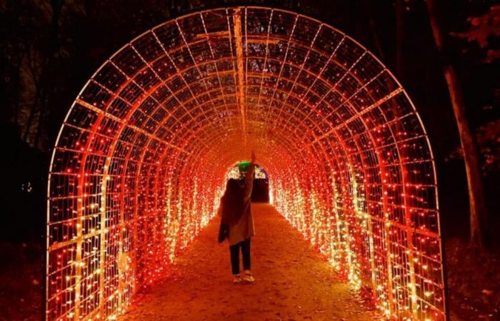 Le domaine de Saint-Cloud s’habille de lumières pour un nouveau festival éblouissant