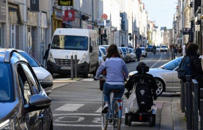 Faut-il interdire les voitures dans les rues ?