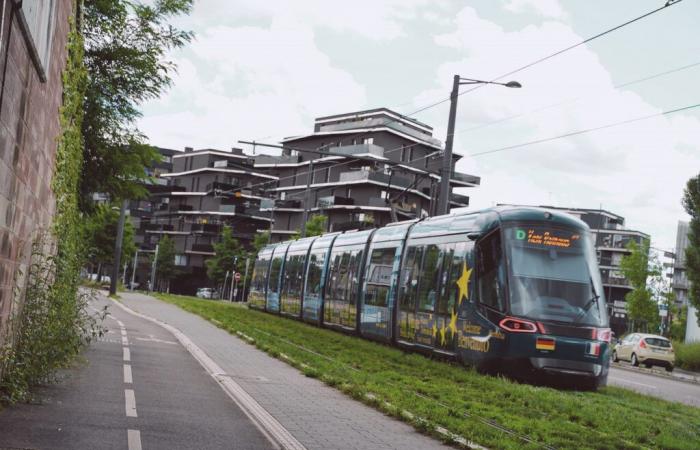 la CTS renforce sa ligne D pour partir aujourd’hui en Allemagne