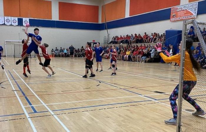 Pour développer leur sport, les amateurs de handball prennent les choses en main en Acadie