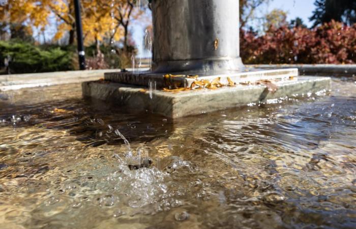 La fluoration dans le viseur de Trump… et de Montréal