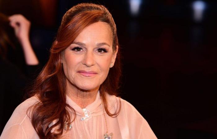 Andrea Berg impressionne par son décolleté profond