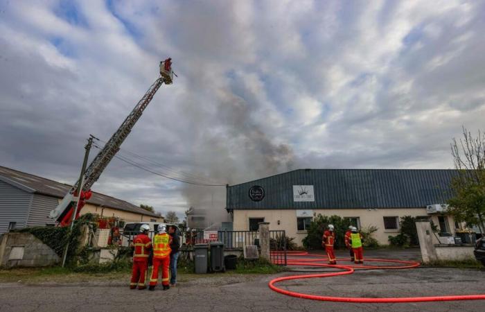 un incendie ravage les ateliers Kuku la praline à Lons