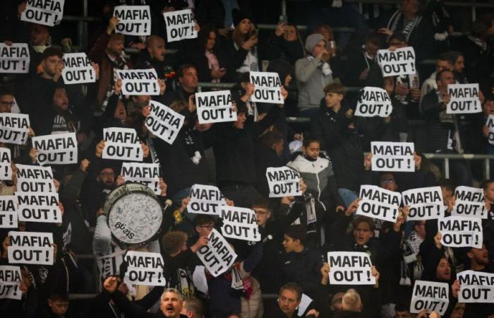 le point de vue de la direction du Sporting de Charleroi sur la colère des supporters