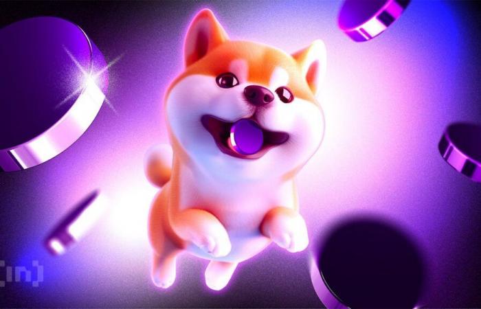 Shiba Inu gagne plus de 40% en 24h : à quoi s’attendre ?