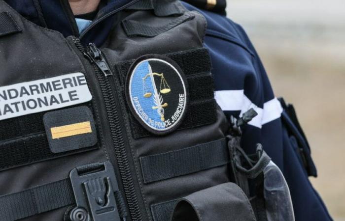 Savoie. Opération anti-délinquance à Belleville : 80 véhicules contrôlés