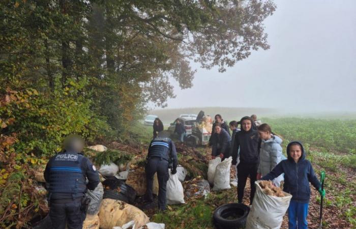 des jeunes collectent des déchets dans une décharge sauvage à Laboissière-en-Thelle