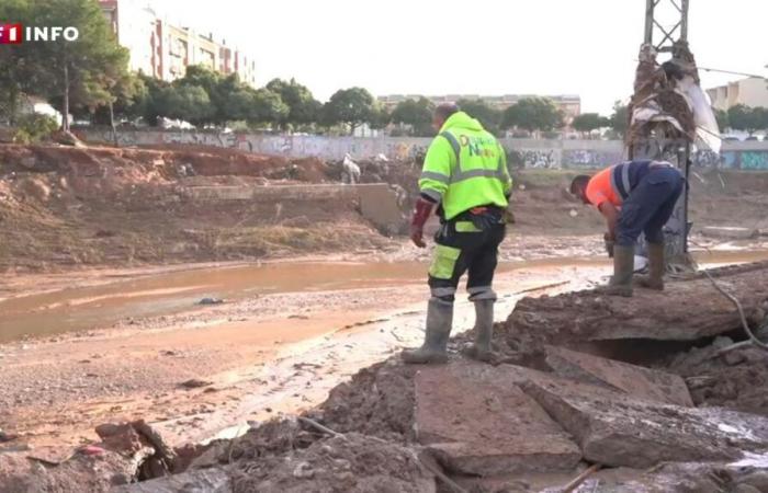 Après les inondations, les habitants de la région de Valencia se retrouvent confrontés à un immense chantier