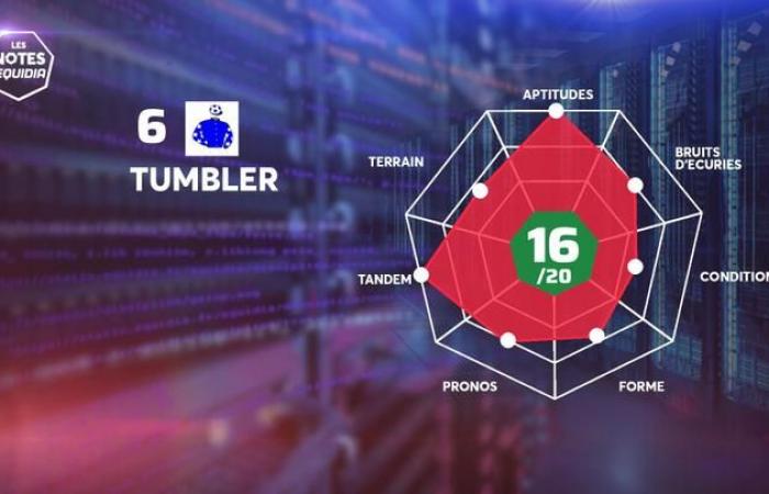 Les notes des partants du Quinté+ de ce dimanche 10 novembre