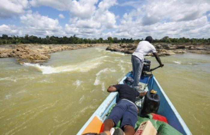 En Guyane, une sécheresse exceptionnelle perturbe la vie quotidienne sur les fleuves : Actualités