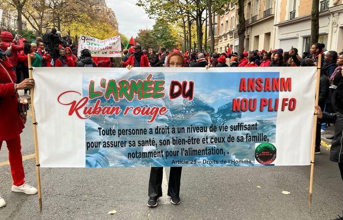 deuxième mobilisation du RPPRAC à Paris