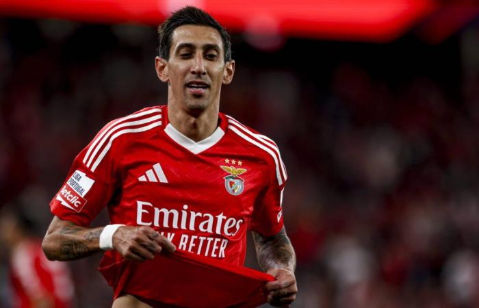 DIRECT. Benfica – Porto : suivez le match