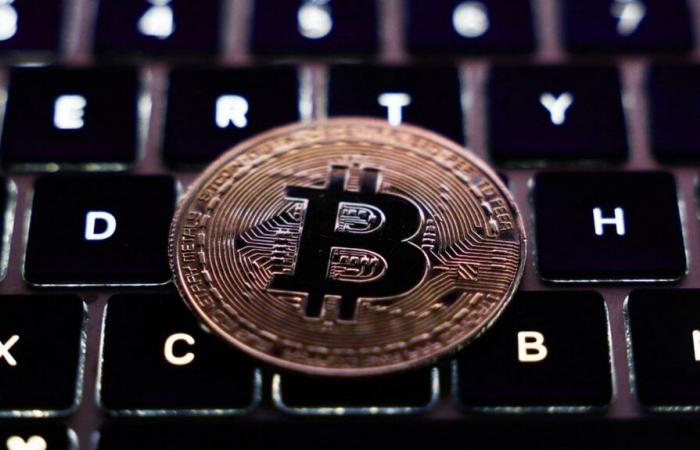 Bitcoin bat un nouveau record et dépasse les 80 000 $