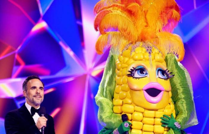 avez-vous reconnu cette chanteuse populaire dans le costume de Miss Corn ?