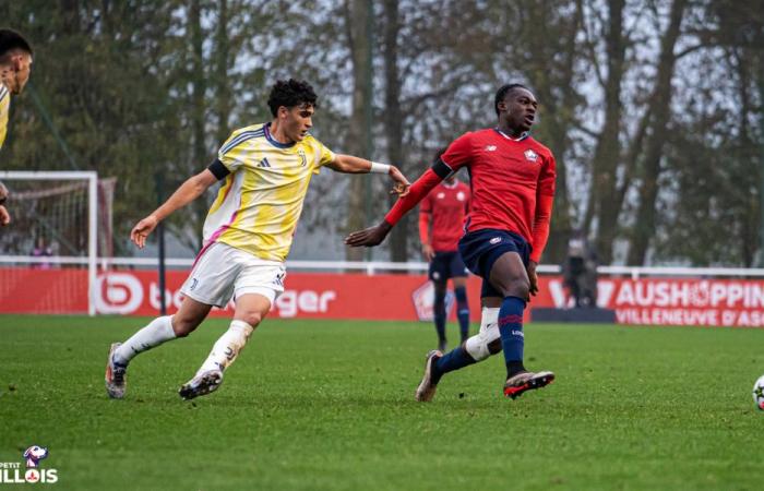 Les équipes de France U20 et U18 piochent quatre éléments du LOSC