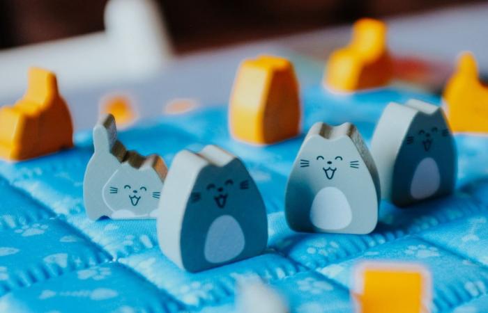 Jeux, chatons et tableaux de grands peintres