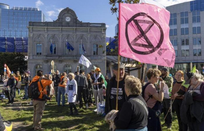 Nouvelle marche pour le climat dans les rues de Bruxelles ce dimanche