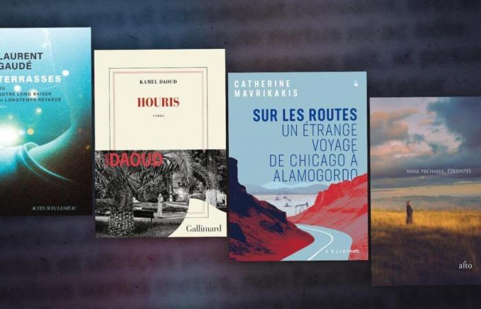 Suggestions de lectures pour novembre