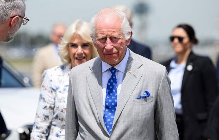 La famille royale britannique sous le feu des critiques après une enquête sur les biens de Charles III et William