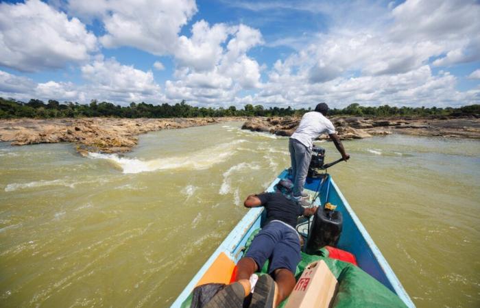 En Guyane, une sécheresse exceptionnelle perturbe la vie quotidienne sur les fleuves