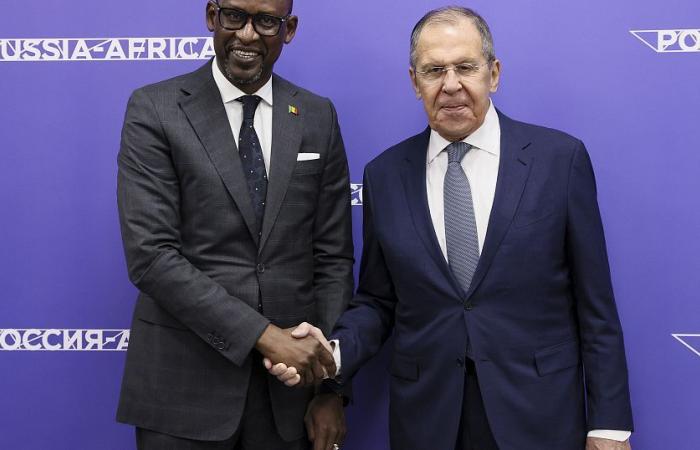 Sergueï Lavrov salue la coopération entre la Russie et l’Afrique