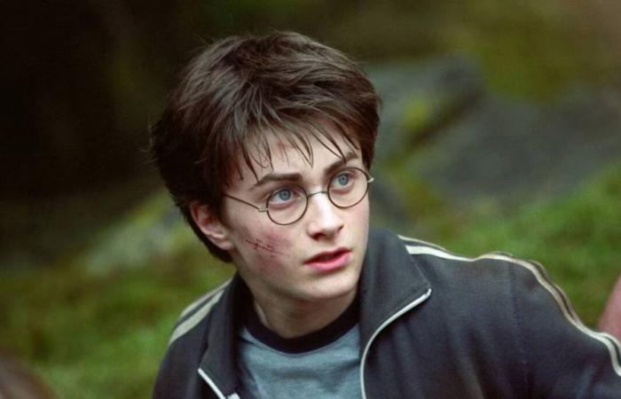 La série Harry Potter sera liée à Poudlard Legacy 2. Il ne faut vraiment pas rater cette adaptation !