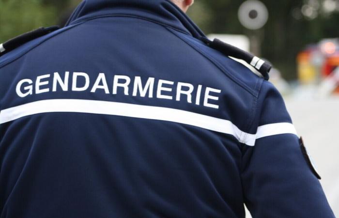 disparition inquiétante d’une jeune fille de 12 ans dans le Morbihan