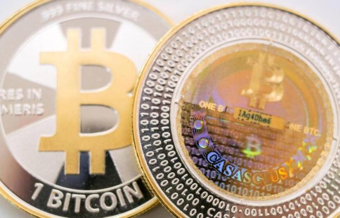 Nouveau record de Bitcoin à plus de 80’000$