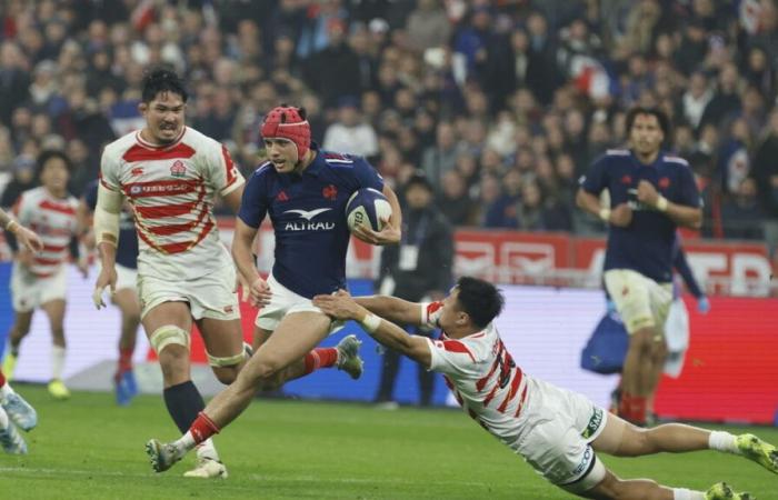 4,5 millions de téléspectateurs ont suivi le match de rugby France-Japon sur TF 1