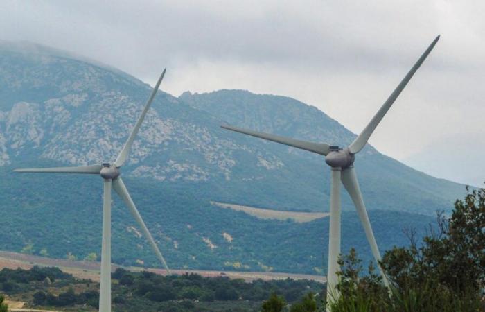 pourquoi nous ne devrions pas voir d’éoliennes en albanais de si tôt