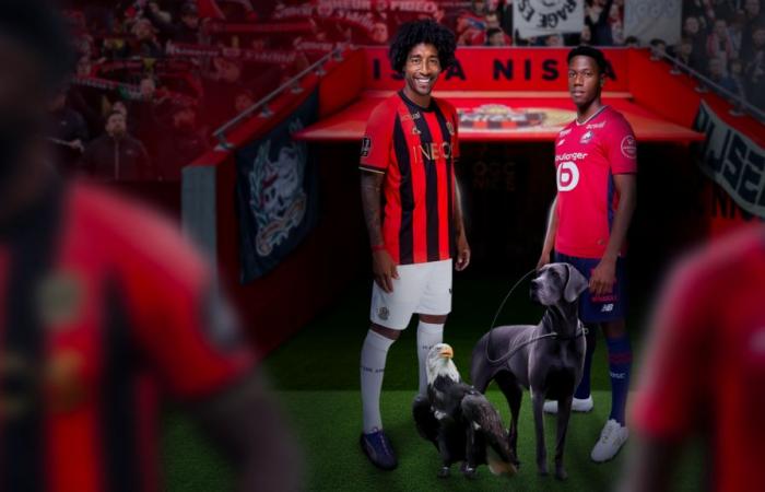 Nice – Lille : Journée de match