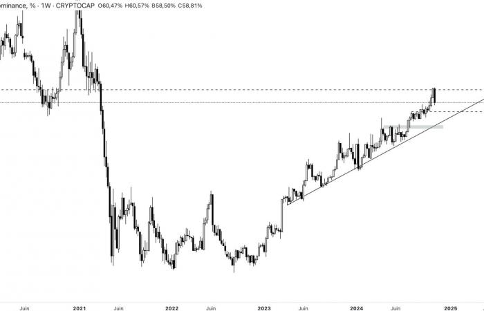 Bitcoin atteint 80 000 $, les crypto-monnaies explosent plus haut – Retour sur une journée historique