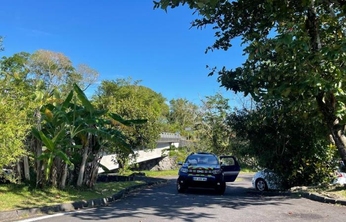 Un homme non identifié retrouvé mort sur la RN 2 à Petit-Saint-Pierre